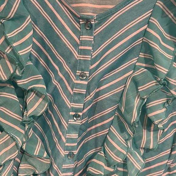 French Laundry Green and White Button Down Blouse XL - Picture 2 of 8